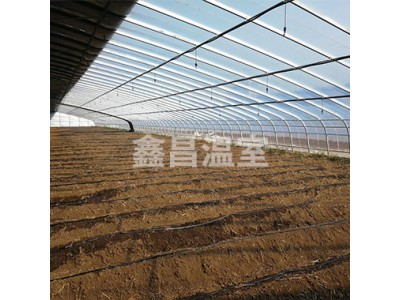 薄膜温室承建 薄膜温室安装设计 山东薄膜温室建设