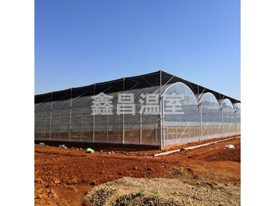 连栋温室建设多少钱 连栋温室建设厂家 连栋温室承建