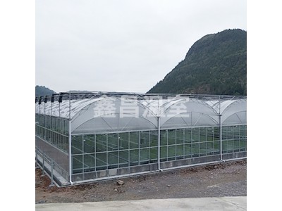 蔬菜大棚连栋温室 连栋温室建设多少钱