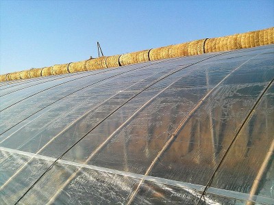 山东连栋温室厂家 连栋温室厂家建设价格多少