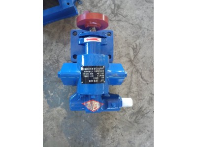 KCB铜轮齿轮泵 亿佳齿轮泵 防爆齿轮泵易燃齿轮泵