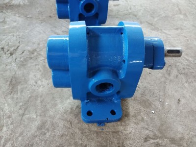 齿轮泵 2CY不锈钢齿轮泵 输送抽油泵齿轮泵 日化泵 蜂蜜泵