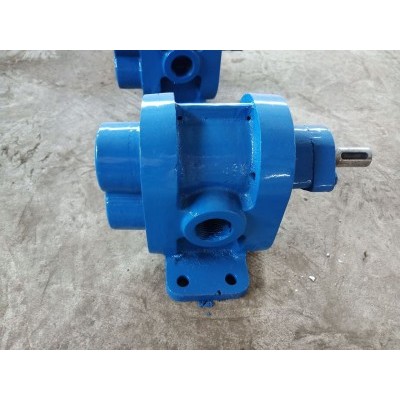 齿轮泵 2CY不锈钢齿轮泵 输送抽油泵齿轮泵 日化泵 蜂蜜泵